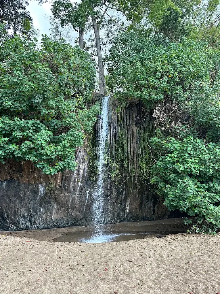La cascade de Soulou tombe dans la végétation, sur la côte ouest